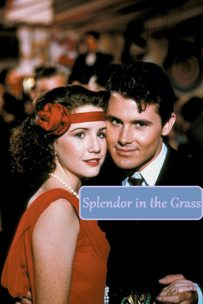 Постер Splendor in the Grass